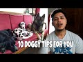10 Doggy Tips for You || Also Learn something about MEGHALAYA || Richie Majaw