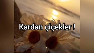 Tolga Kaya - Kardan Çiçekler.. ( Büyümüşte küçülmüş )