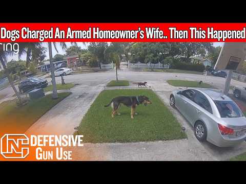 He Was Armed For Protection… But The Threat Didn’t Have Two Legs