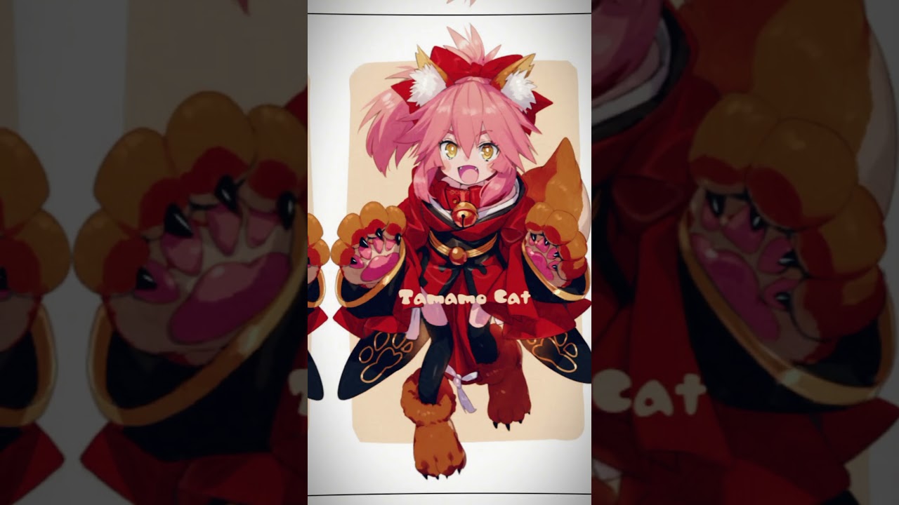 Tamamo Cat || Fate grand order || Berserker || 