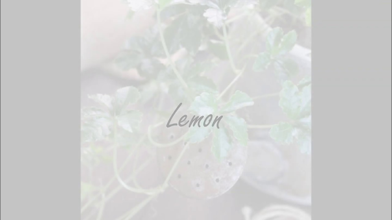 Lemonークロマチックハーモニカ