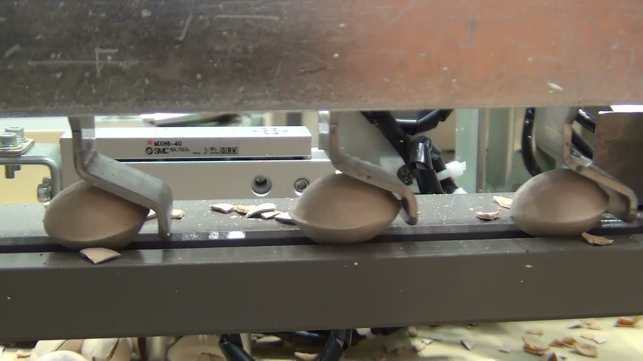 やけにハイテク！世界初の銀杏の自動殻割り機！こんなところまで全自動　