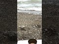 テーブルの先に揺れる湖畔の波