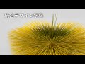 統合デザイン学科|学科紹介&入試解説動画|多摩美術大学