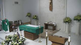St. Patrick Catholic Church, Tampa, FL 12th Sunday of OT 6/21/26
