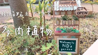 【ミニチュア】樹脂粘土で作る多肉植物〜Succulent plant〜