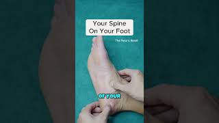 Foot Reflexology Chart: Your Spine on the Inside of Your Foot #shorts