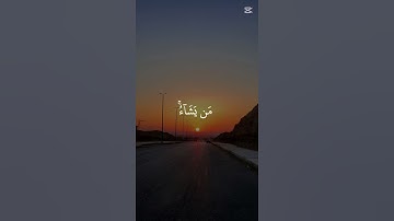 #القرآن_الكريم #اكسبلور #يوتيوب #المصحف #تلاوة_خاشعة #راحة_نفسية