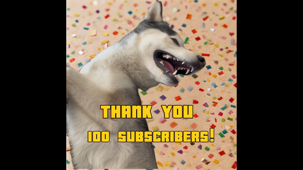 I Told My Husky We Hit 100 SUBSCRIBERS... This Happened 😂