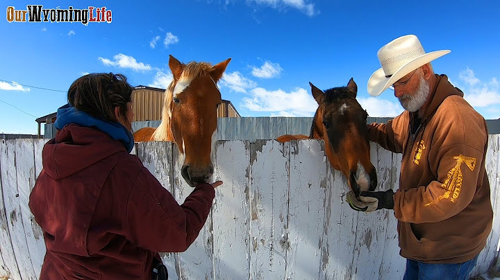Part 1 - Ranch Help from Our Friends -  Ranch Life