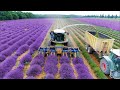 COMO se HACEN los PERFUMES más CAROS documental