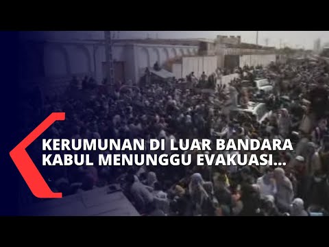 Video: Wartawan Membantu Mempercepat Kedatangan Asfalt Di Kampung