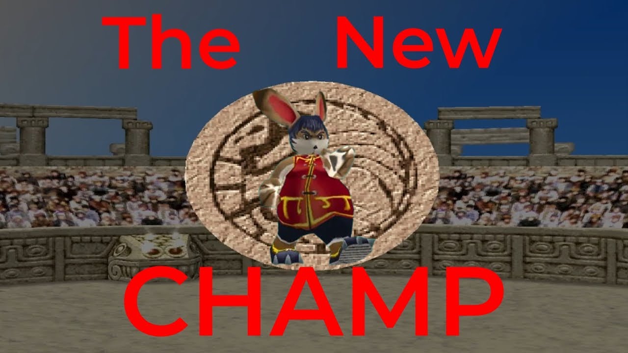 Teaching My Pet Rabbit The Power Of 