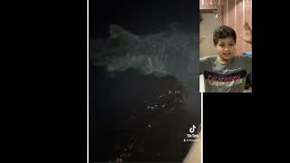 Reacting To My Dads Tiktoks Name Ftmpilot Follow Him On Tiktok Instagram And Snapchat