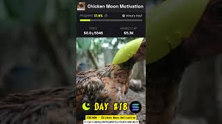  Day 18 chimom  Rise To New Horizons With Chicken Moon 