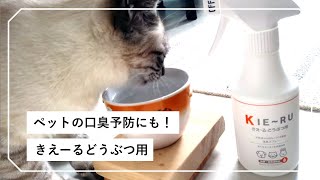 ネコちゃんワンちゃんの気になるトイレのニオイや口臭に！飲み水に混ぜて与えるだけで予防ができる - きえーる どうぶつ用