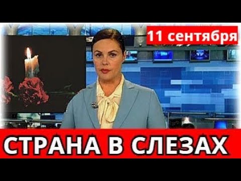 Видео: Когда умерла последняя собака 11 сентября?