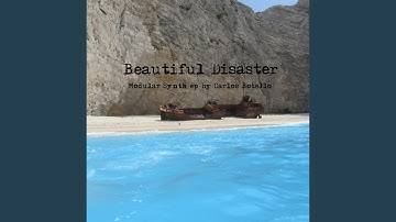 BeautifulDisaster