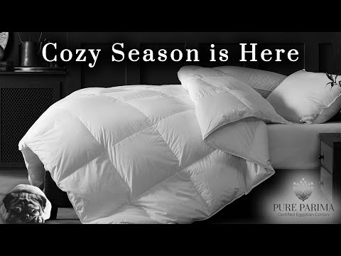 Cozy up with Down Comforters & Pillows | PURE PARIMA
