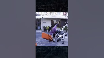 Unitree G1 humanoid robot demonstrates martial arts and performs the world