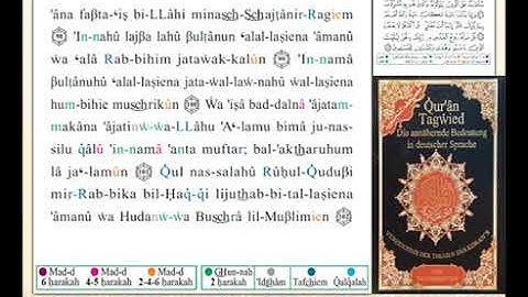 ختمة من مصحف التجويد باللغة الألمانية الصفحة رقم 278