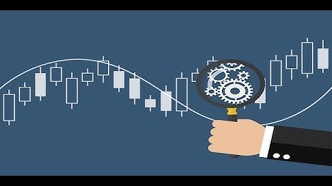 Investors can learn from academia |  WH Video Blog