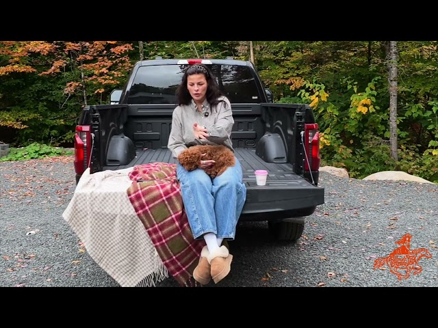 TAILGATE TALK #01 - La culpabilité qui nous suit