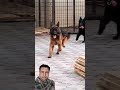 Dog lover #dog #shorts #short #viral #trending #trend #shortvideo #subscribe #monotize #views #reels