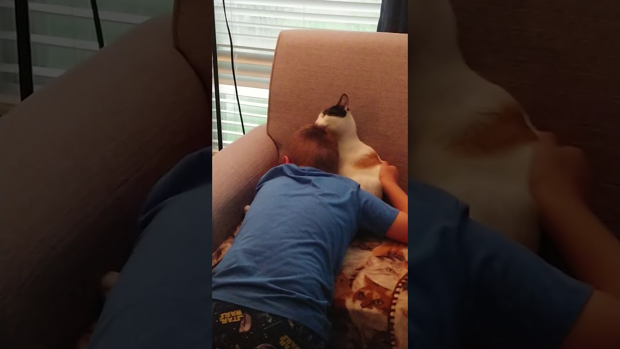 Who needs a shower when you have a cat! 