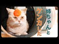 大好きな姉ちゃんとケンカした・・・