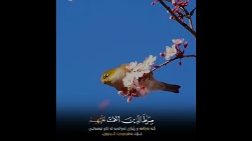 الشيخ عمير الشميم سورة الفاتِحة
