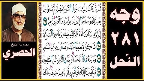 صفحة 281 سورة النحل - ثم إن ربك للذين عملوا السوء بجهالة ثم تابوا من بعد ذلك وأصلحوا إن ربك من بعدها