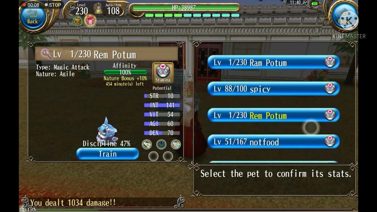 Toram online pet guide YouTube