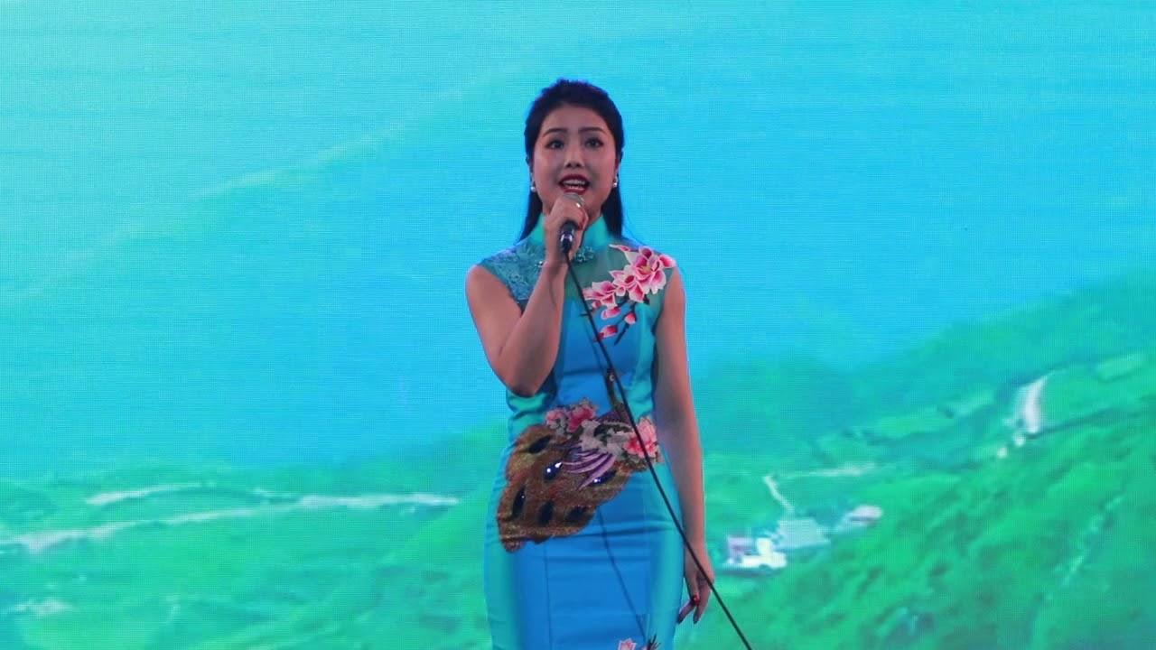 Карина на китайском языке