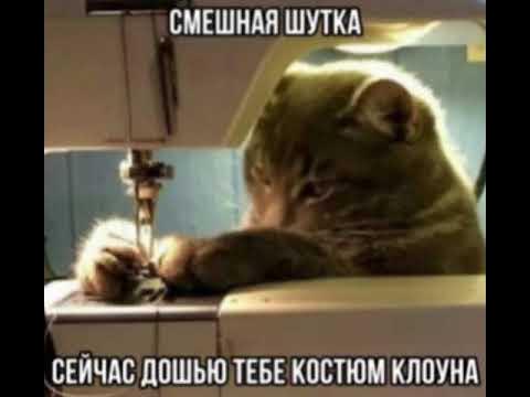 Смешная шутка.. - YouTube