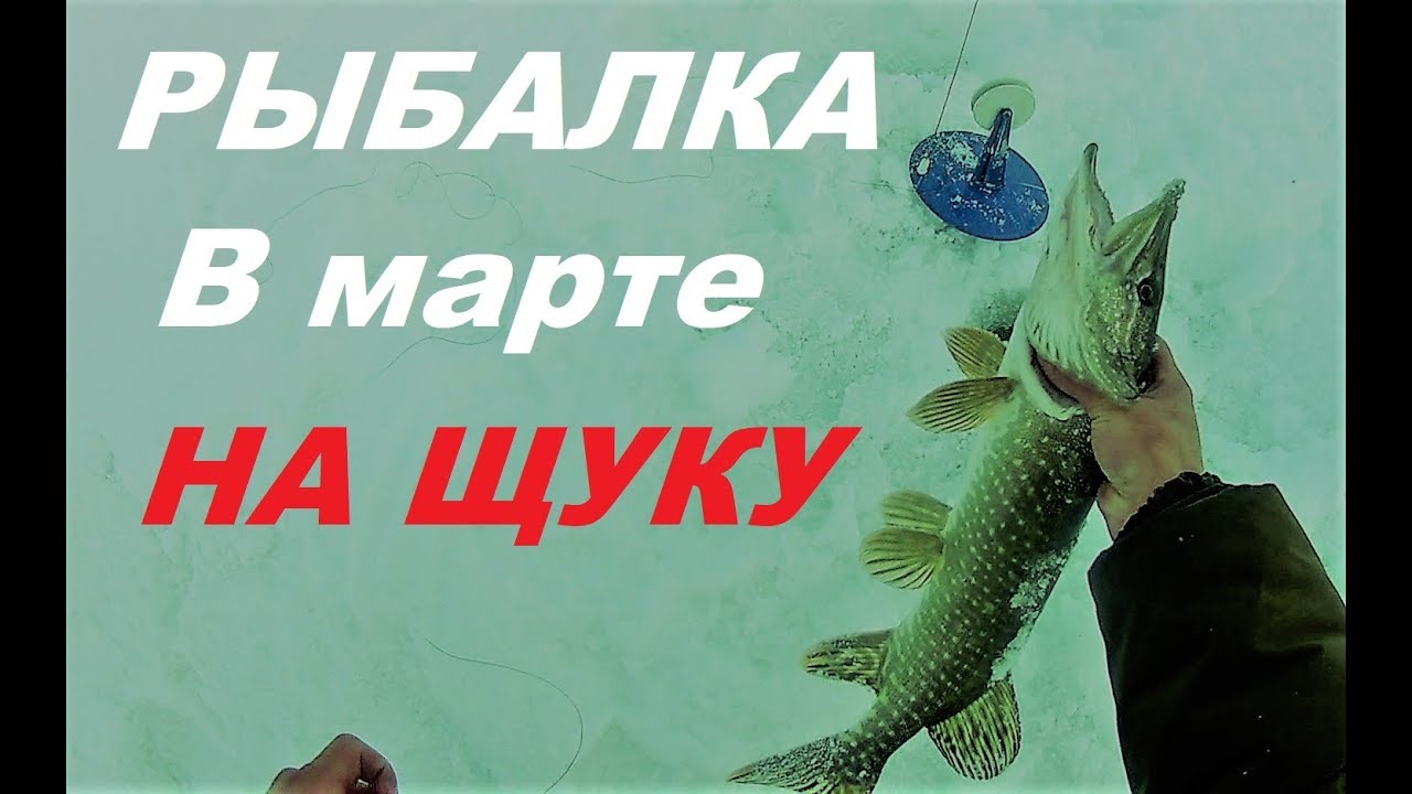 Лови март. Мартащук. Щука в марту