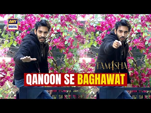 Aisay Qanoon Se Nafrat Hai Baghawat Hai Mujhe 🔥😡 | Saif Ali Khan | Tamasha S4
