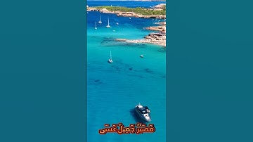 سورة يوسف و؛؛كا.نك تسمعها لأ..و،.ل مر.ة💗..🌹💐..💕،💖🌸؛🌻بصوت الشيخ حمزة مد،بو.ح 💮💟،💗💕؛؛💓؛🌻🏵️