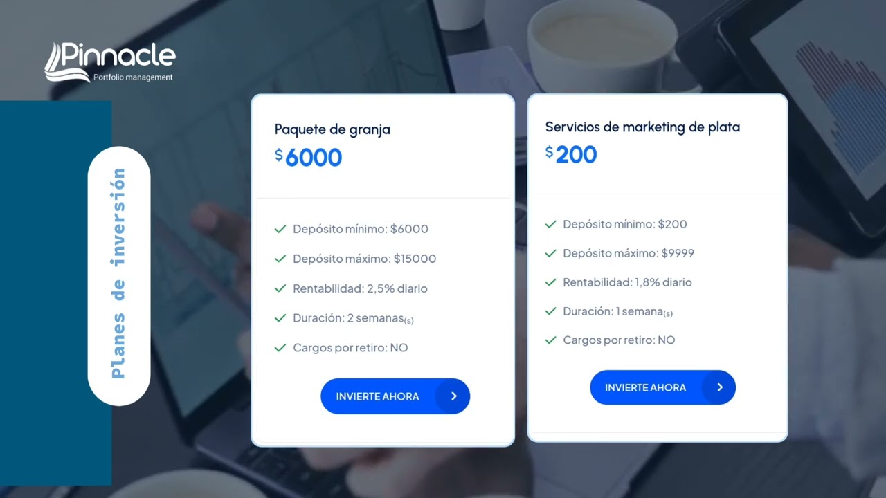 (UPDATED)  PINNACLE PORTFOLIO MANAGEMENT COMPANY PROFILE SPANISH VERSION