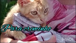 Para Creminho Musica De Maria José Beethoven