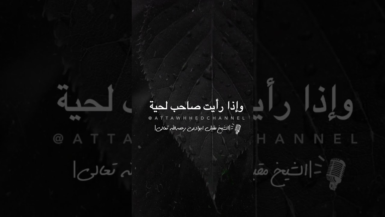 #الشيخ #الوادعي #اللحية #اكسبلور #ابن_باز #ابن_عثيمين #لايك #العثيمين #اللحيدان