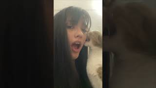 Cat Licks and Grooms Owner Then Playfully Nibbles Her