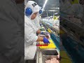 EL TRABAJO MÁS DIFICIL DEL MUNDO!!😲#shorts
