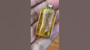 Baltic amber with insect