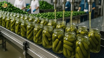 How Cucumber Pickles Are Made In A Factory | Pickle Factory Process