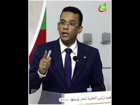 وزير الصيد على المدون عالي ولد بكار تحم ل مسؤولية المعلومات الزائفة التي نشرها