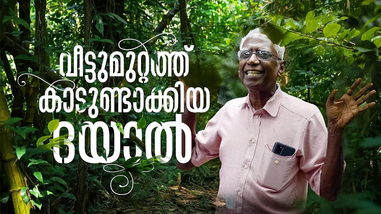 പുല്ല് കിളിർക്കാത്ത മണ്ണിൽ പൊന്ന് വിളയിച്ച് ദയാൽ | Forestman of Kerala | mathrubhumi.com