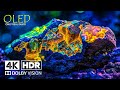 4K Video ULTRA HD - Dolby Vision HDR 4K 60fps