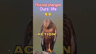 #this #line #change#usa #motivational#attitude #roaringli#eagle#hunting#wolf #viral#trending #status