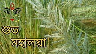 Subho Mahalaya / Agomoni - Happy Durga Puja 2018 || New Whatsapp Status & Quotes ||